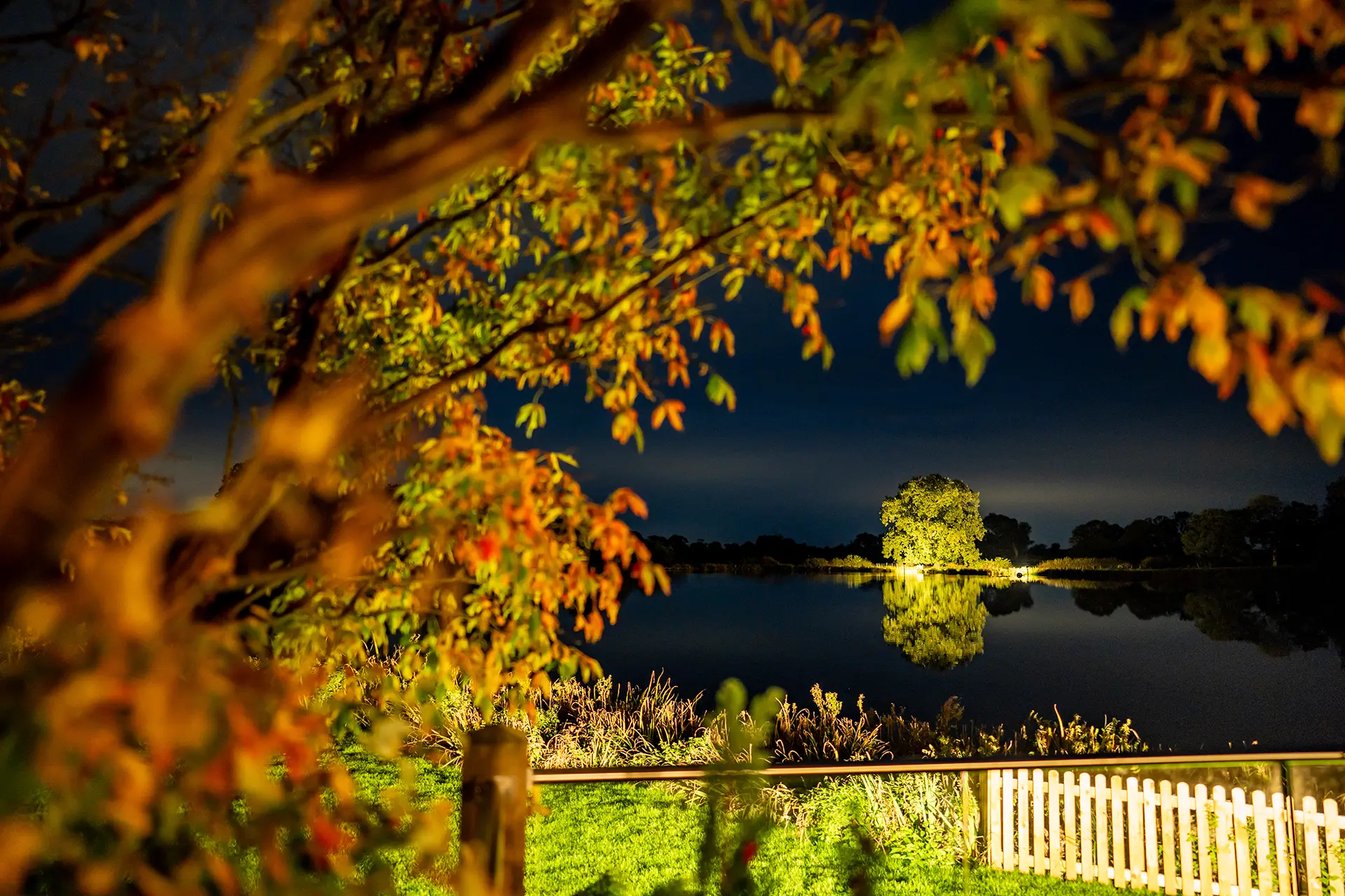 sandhole oak barn oak tree at night