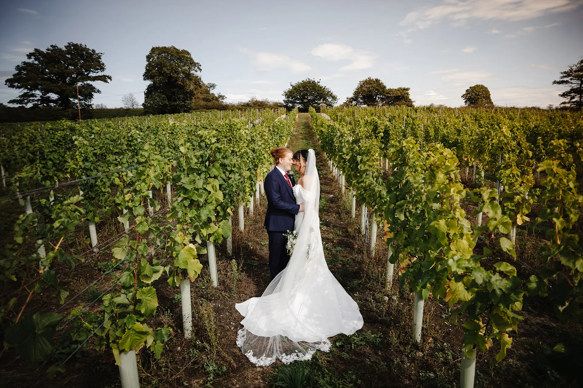 sandhole oak barn vinyard